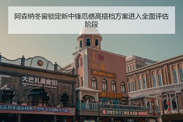 阿森纳冬窗锁定新中锋厄德高搭档方案进入全面评估阶段